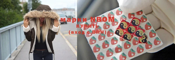 крисы Алзамай