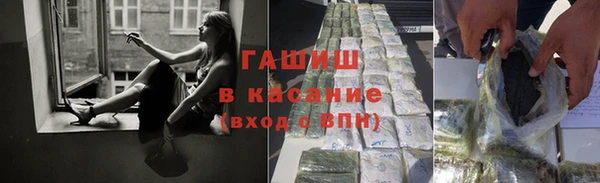 крисы Алзамай