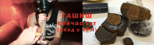 крисы Алзамай