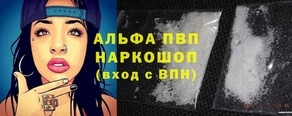 крисы Алзамай